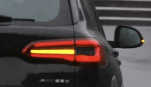 BMW F97 G05 G20 G21  Semi-Dynamic Indicators