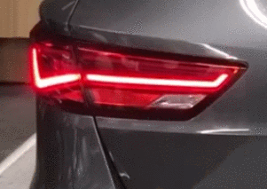 BMW F97 G05 G20 G21  Semi-Dynamic Indicators